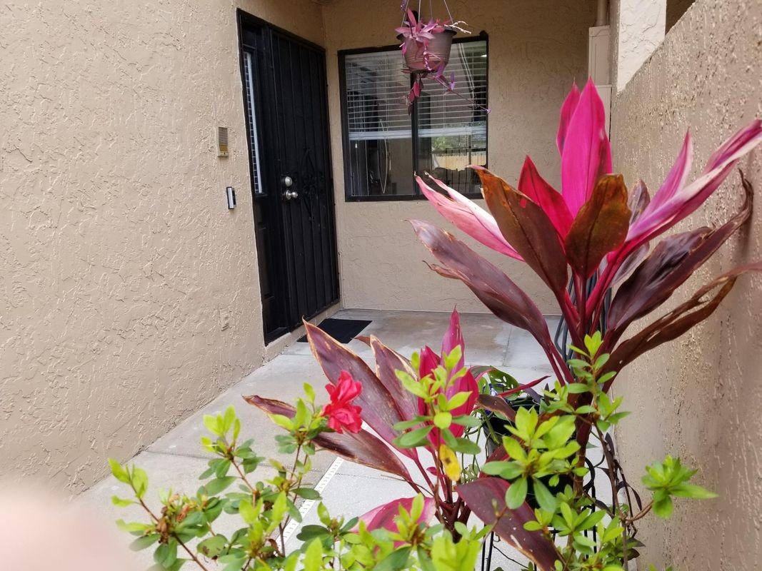 6248 Peregrine Ct - Photo 2 of 23