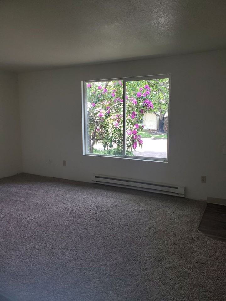 740 Manor Way - Photo 4 of 20