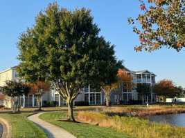 featured image of 33106 N Village Loop #1301