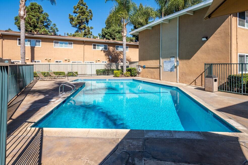 Olive Tree - Photo 2 of 19