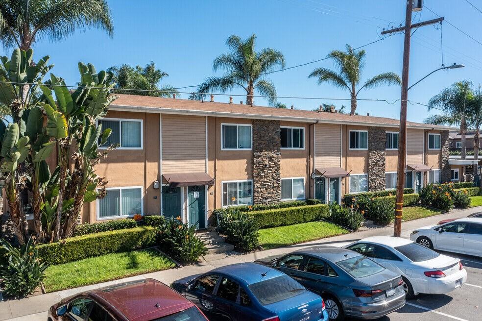 Olive Tree - Photo 7 of 19