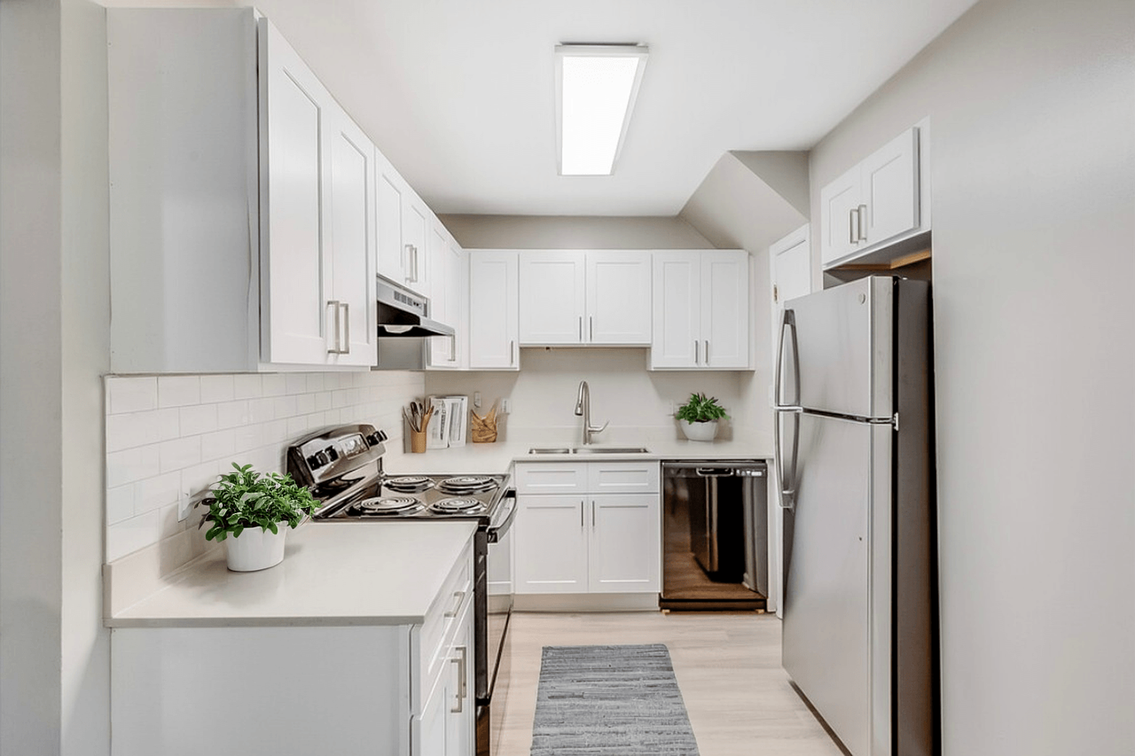 Cameron - Photo 2 of 35