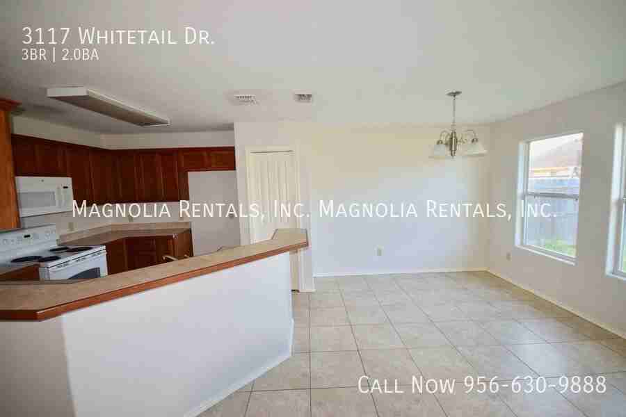 3117 Whitetail Dr - Photo 3 of 13