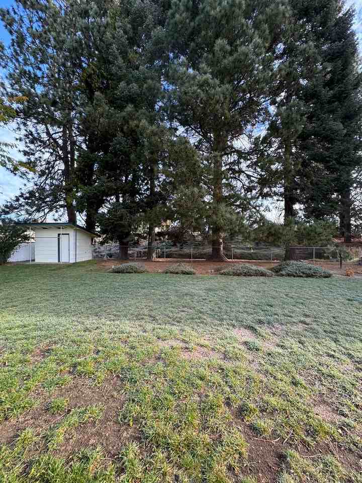 4337 Lombard Dr - Photo 5 of 26