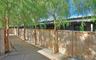 featured image of 309 Hill St #325B