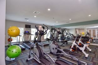 The Heights at Post Oak - Photo 1 of 1