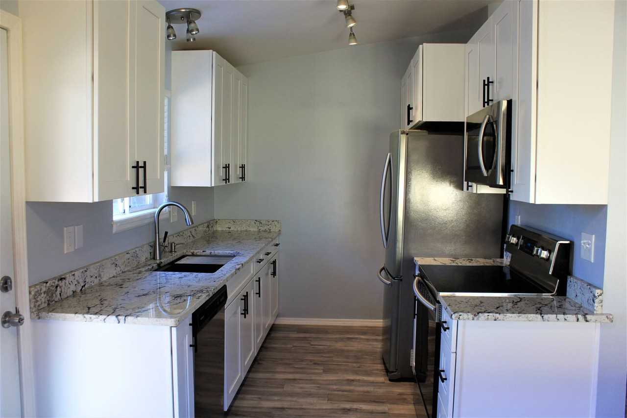 4535 Witches Hollow Ln - Photo 4 of 24