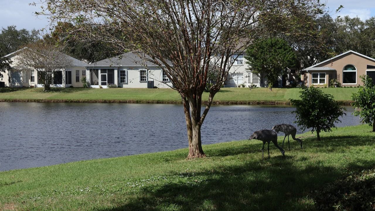 7035 Hammock Trace Dr #NA - Photo 4 of 21