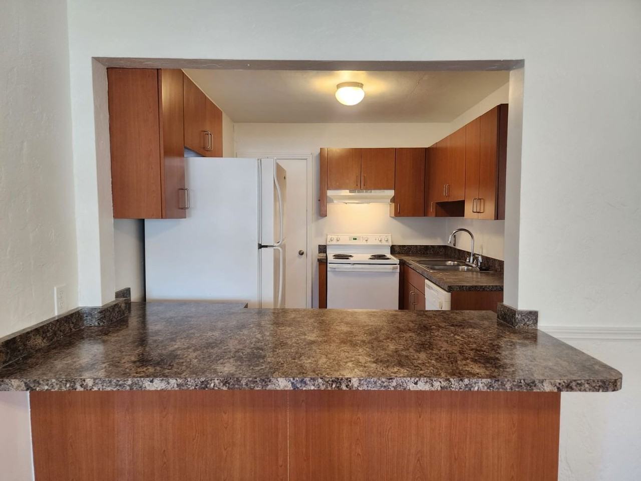 5010 8th Ave S - Photo 4 of 14