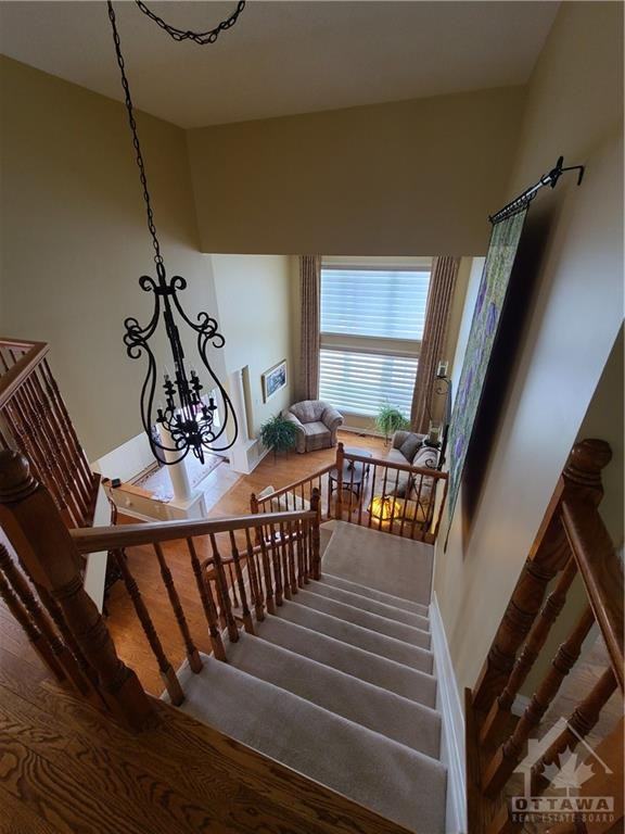 17 Richvale Street - Photo 5 of 18