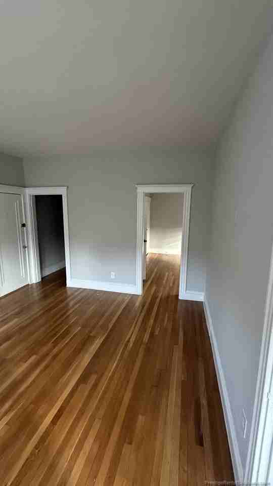 1142 River St #2F - Photo 3 of 16
