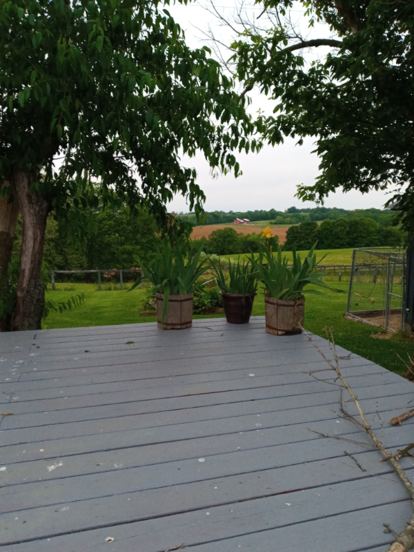 1060 Hardy Road #B - Photo 3 of 25