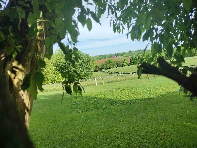 1060 Hardy Road #B - Photo 5 of 25