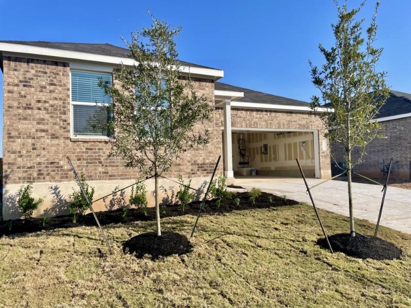 234 Magalia Ln - Photo 3 of 19