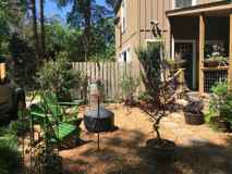 217 Morehead Street #B - Photo 1 of 1