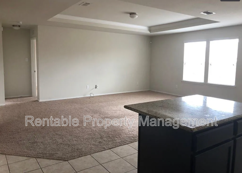 8928 Puerto Vista Dr - Photo 7 of 14
