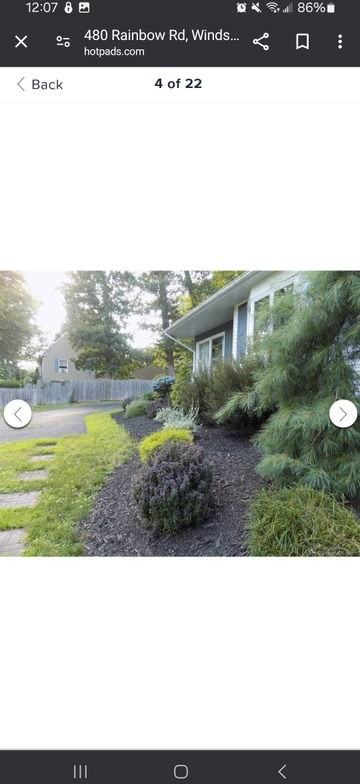 480 Rainbow Rd - Photo 2 of 19