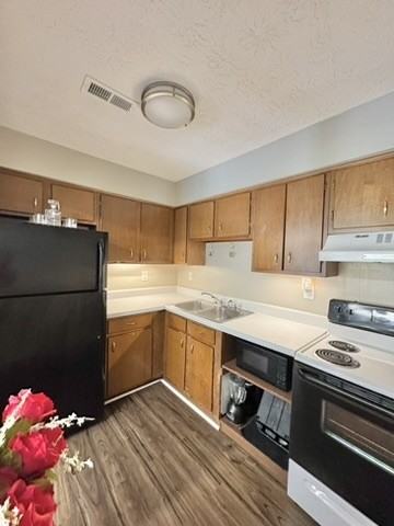 Tierra Linda - Photo 2 of 6