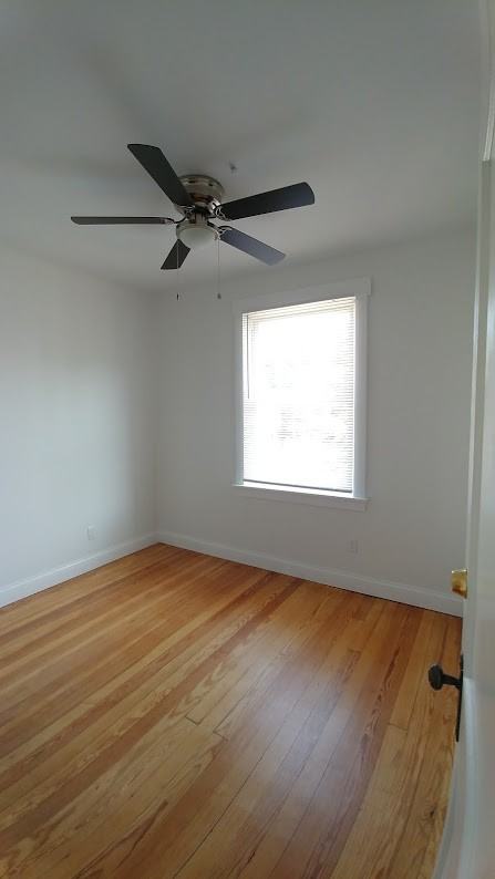 509 Fortune Ave - Photo 2 of 13