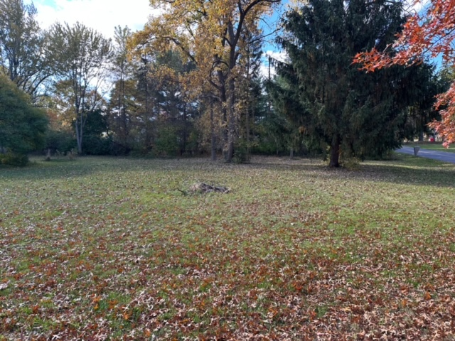 2528 Donna Dr - Photo 2 of 17