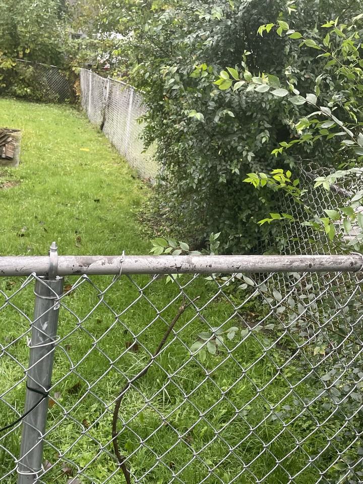 33571 Berville Ct #33571 - Photo 4 of 17