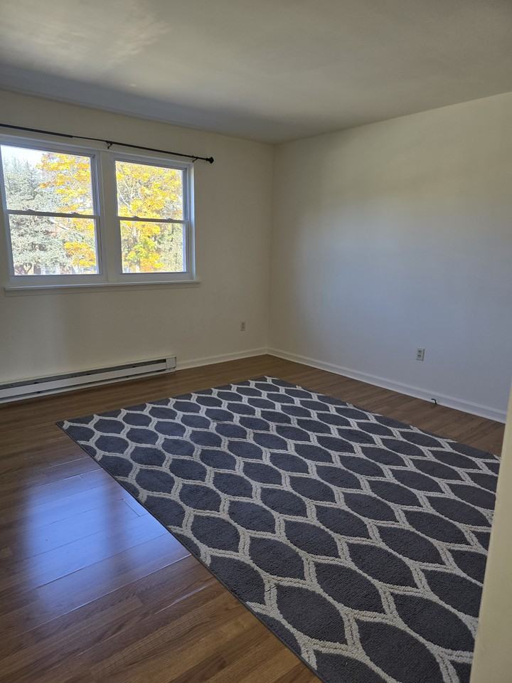 205 Atlantic Ave #205 - Photo 3 of 9