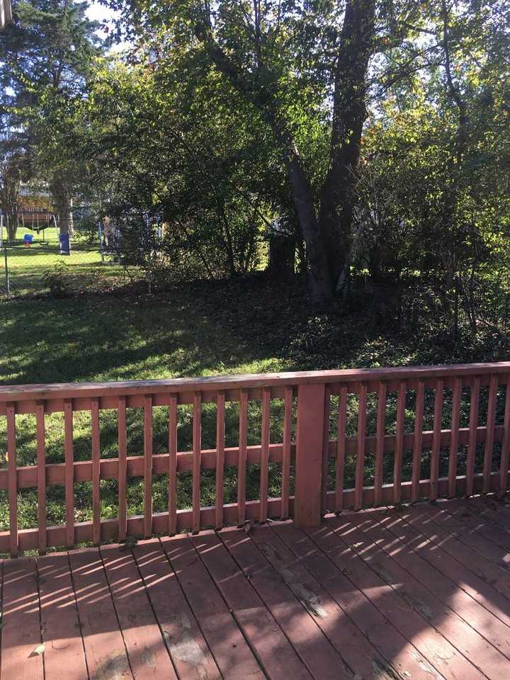 410 Williamson St - Photo 3 of 11