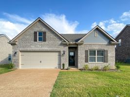 featured image of 195 Daisy Dr