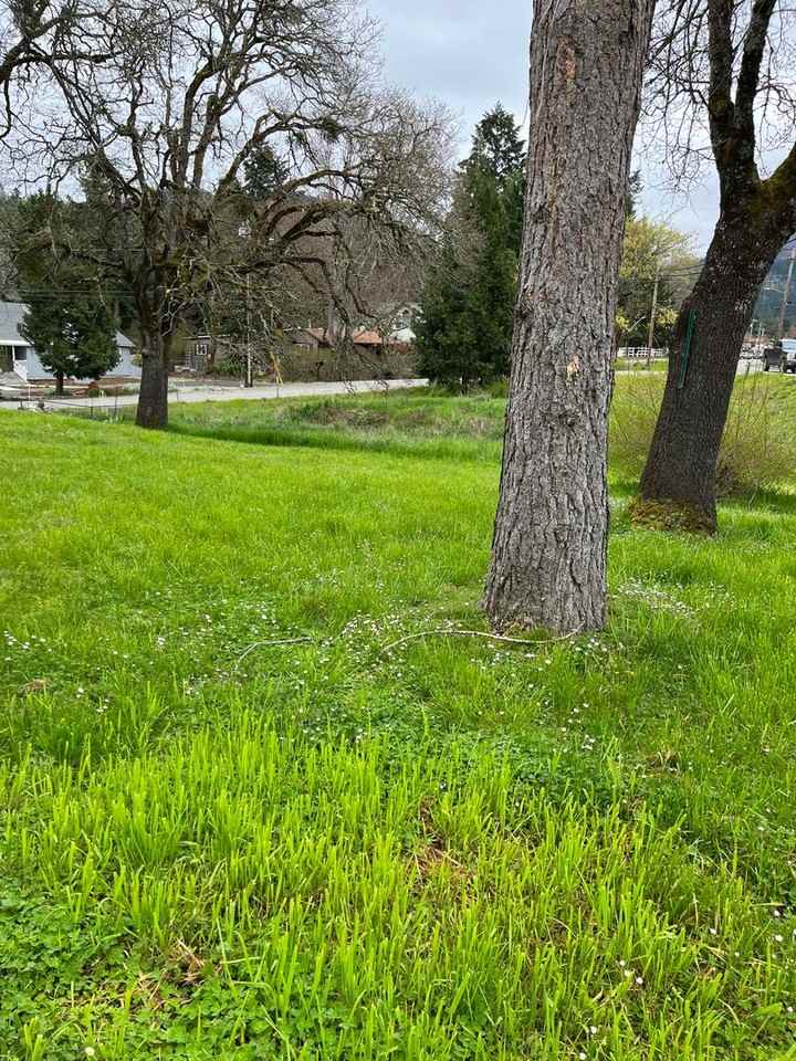 135 Deleane Dr - Photo 2 of 12