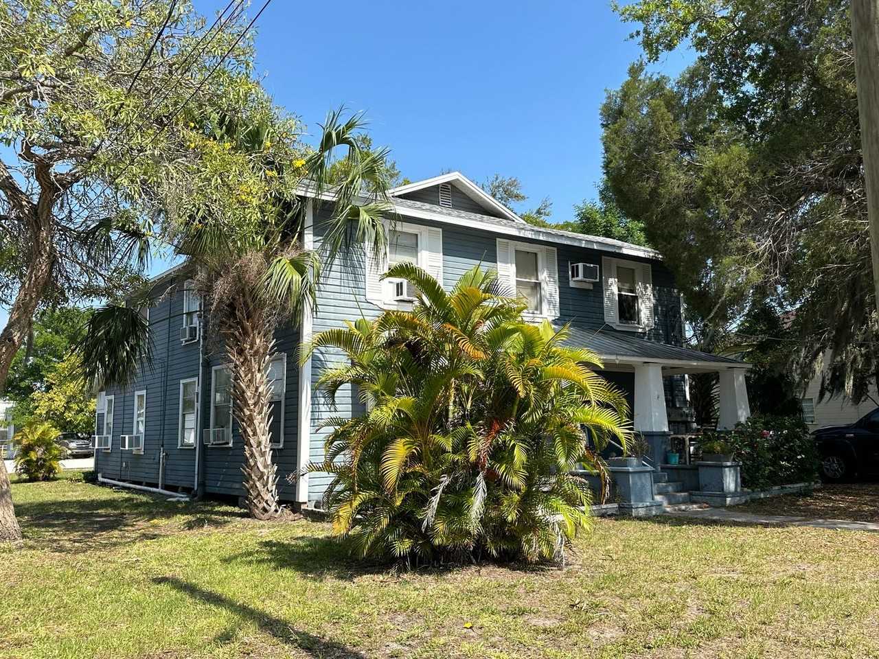 Fantastic Palmetto Multi - Photo 2 of 12