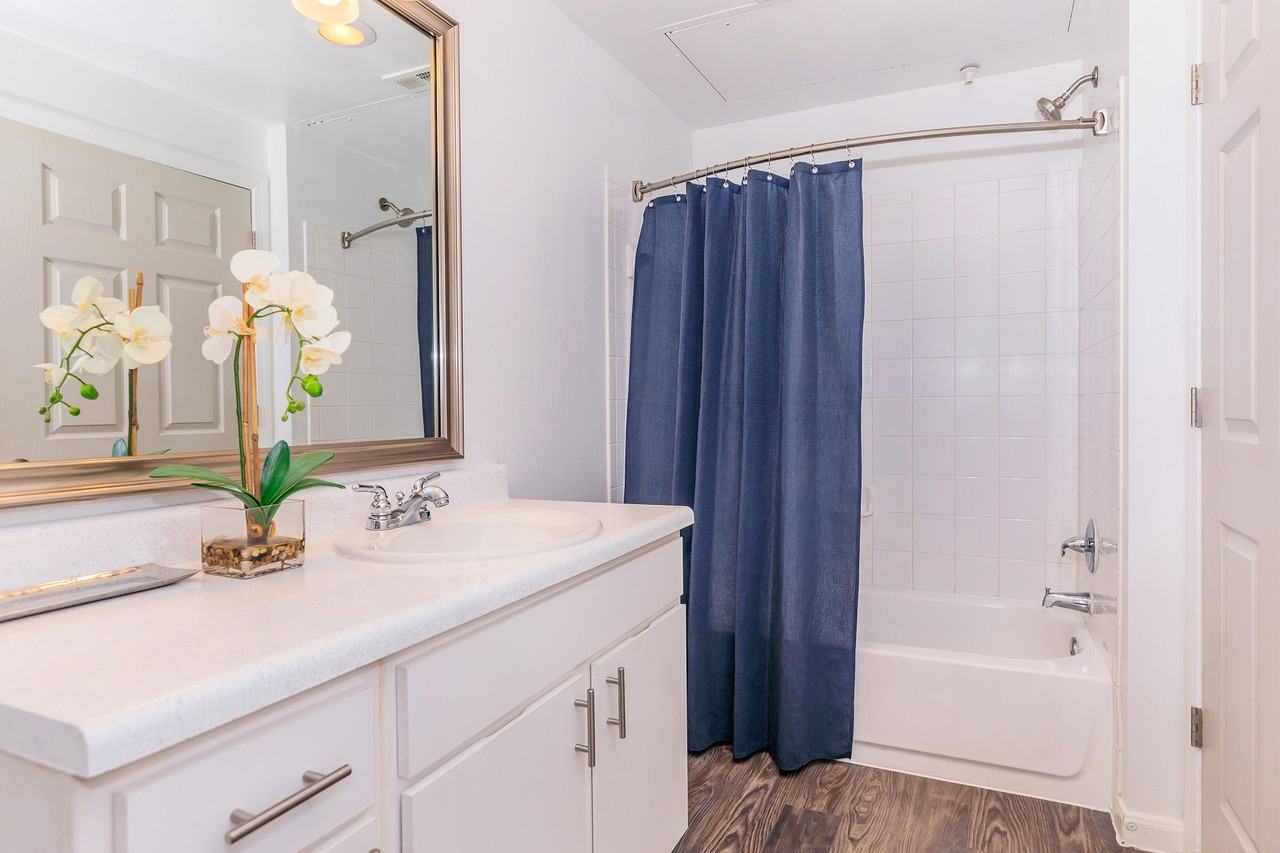 5 Oaks - Photo 7 of 50