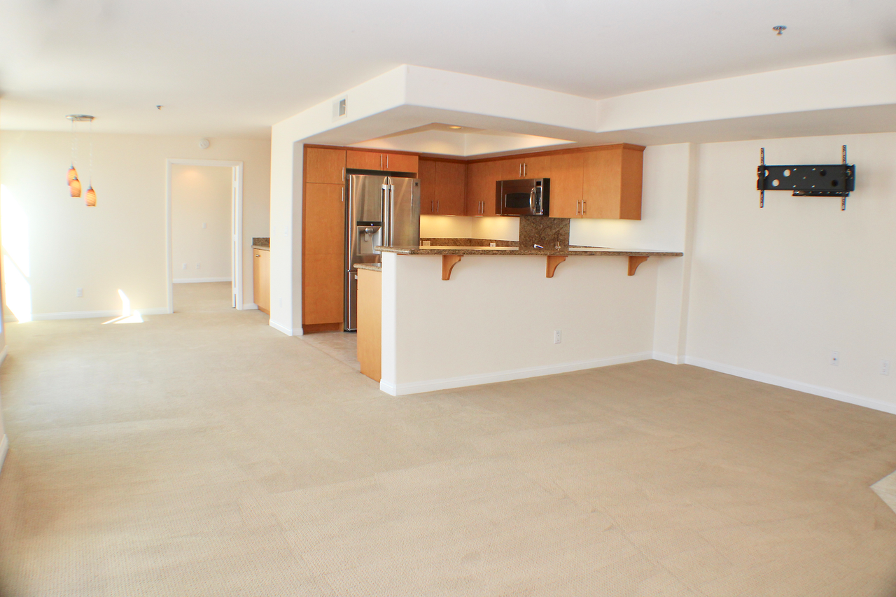 924 Hornblend St #310 - Photo 7 of 17