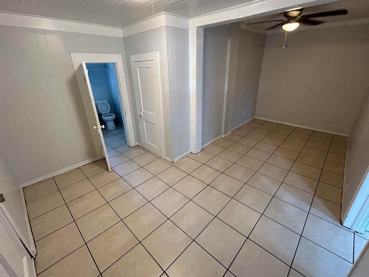 Fantastic Palmetto Multi - Photo 4 of 12