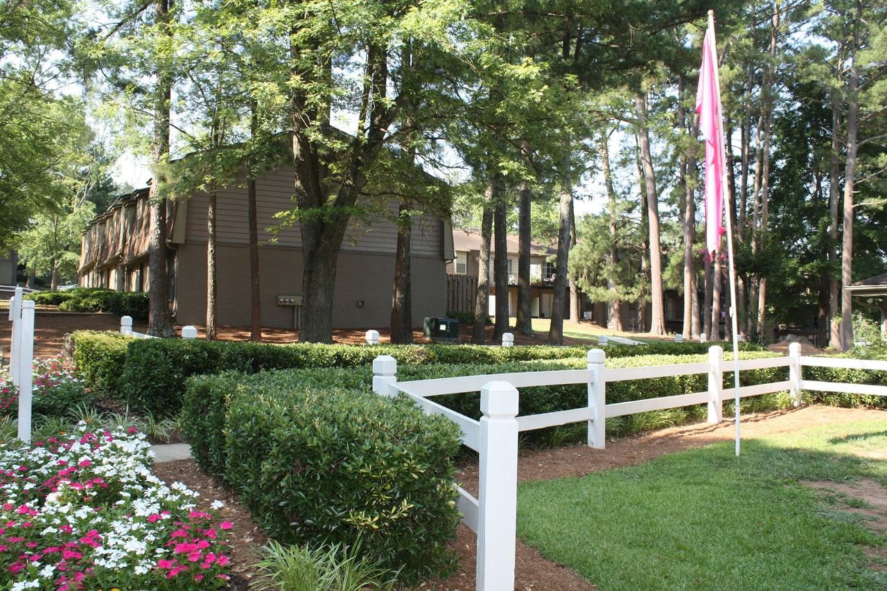 Willow Branch Apartments - Photo 5 of 11