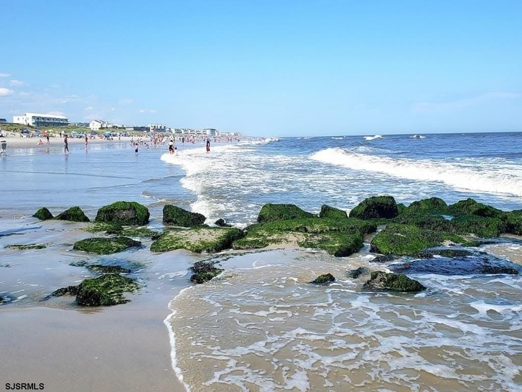 3901 Ocean Ave #1 - Photo 3 of 30