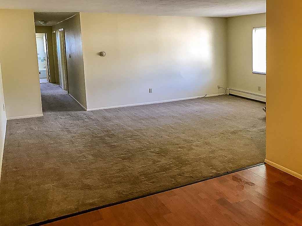 37 Heights Avenue - Photo 3 of 13