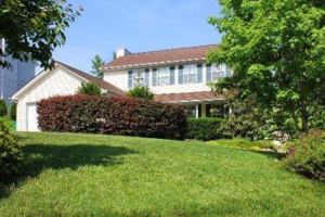 featured image of 9017 Tall Timber Dr