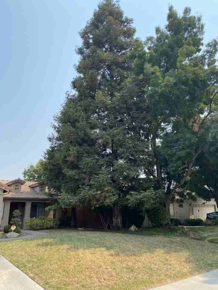 2832 S Teddy St - Photo 2 of 31