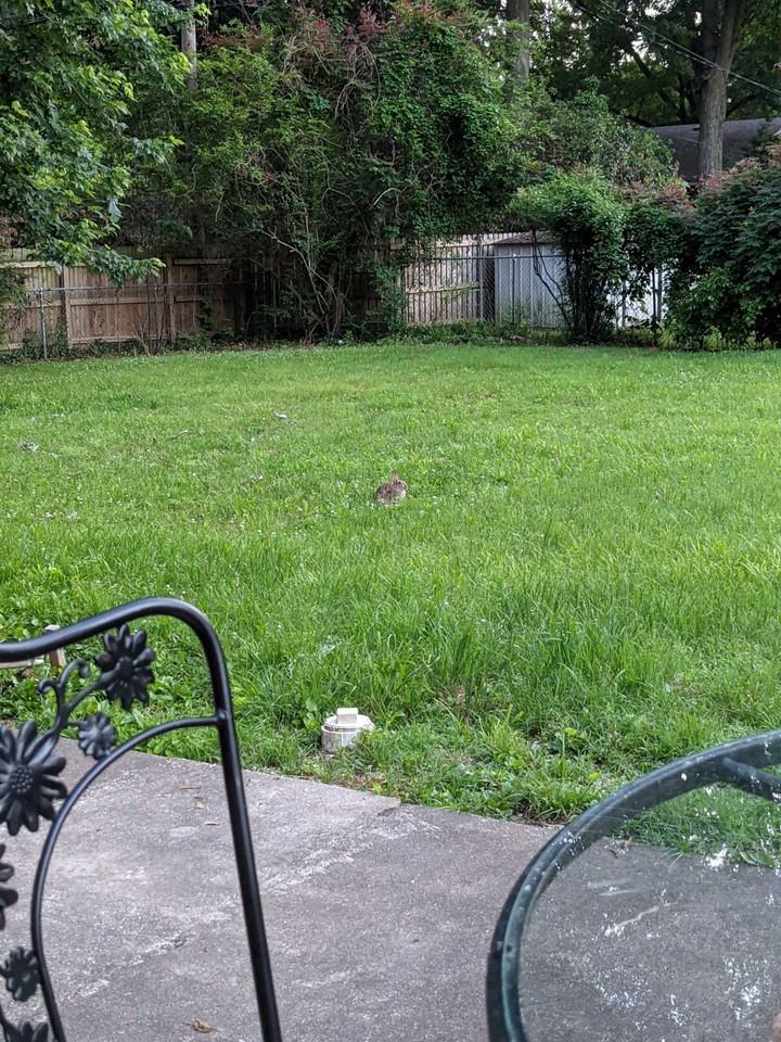 5230 S Columbia Ave #NA - Photo 3 of 6