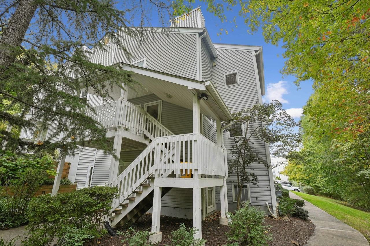 11942 Cardamom Drive - Photo 2 of 13