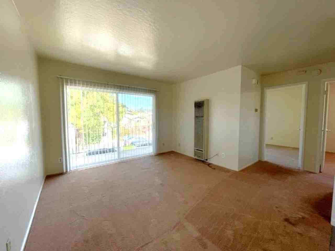 1508 Parker St #D - Photo 5 of 12