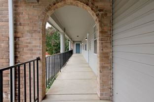 Autumn Woods - Photo 1 of 1