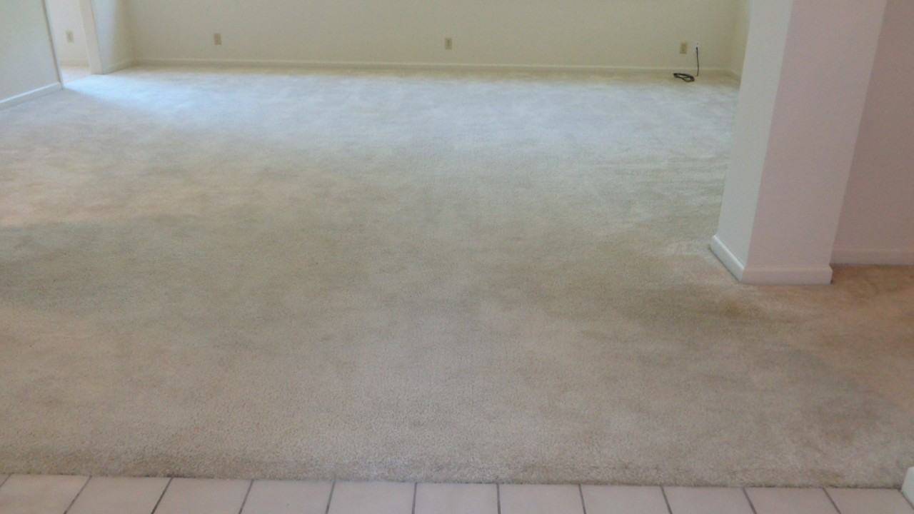 1375 Jamie Dr - Photo 3 of 15