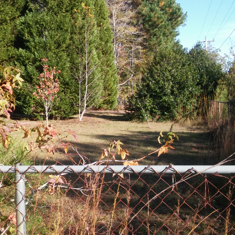 307 Cooper Rd #LOT1 - Photo 2 of 2