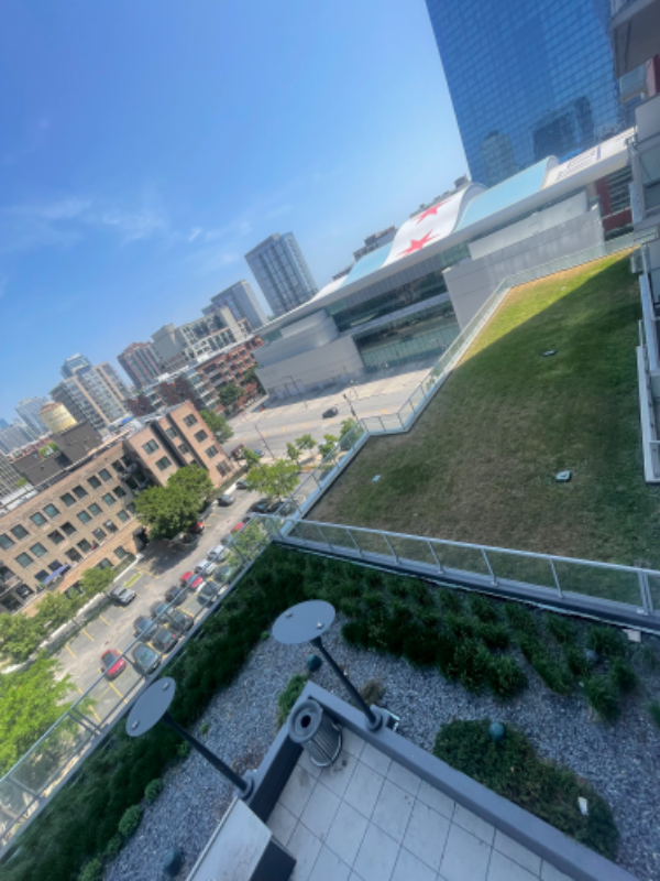 142 E Cermak Rd - Photo 3 of 11