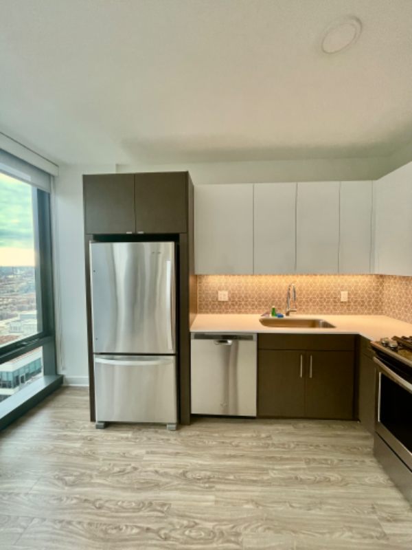 1331 S Michigan Ave - Photo 3 of 12