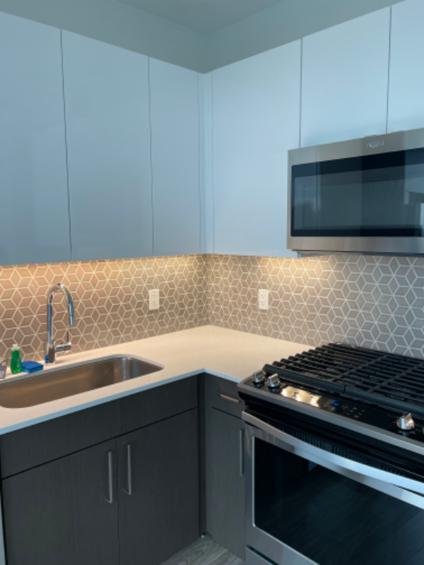 1331 S Michigan Ave - Photo 4 of 12