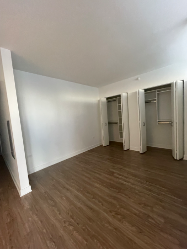 1331 S Michigan Ave - Photo 6 of 12