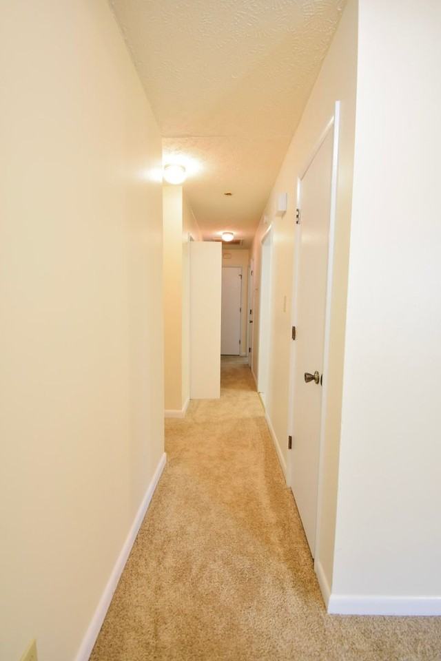 5924 Dalton Rd - Photo 3 of 14