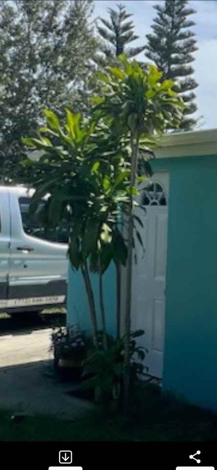 3715 Maple St #NA - Photo 2 of 35